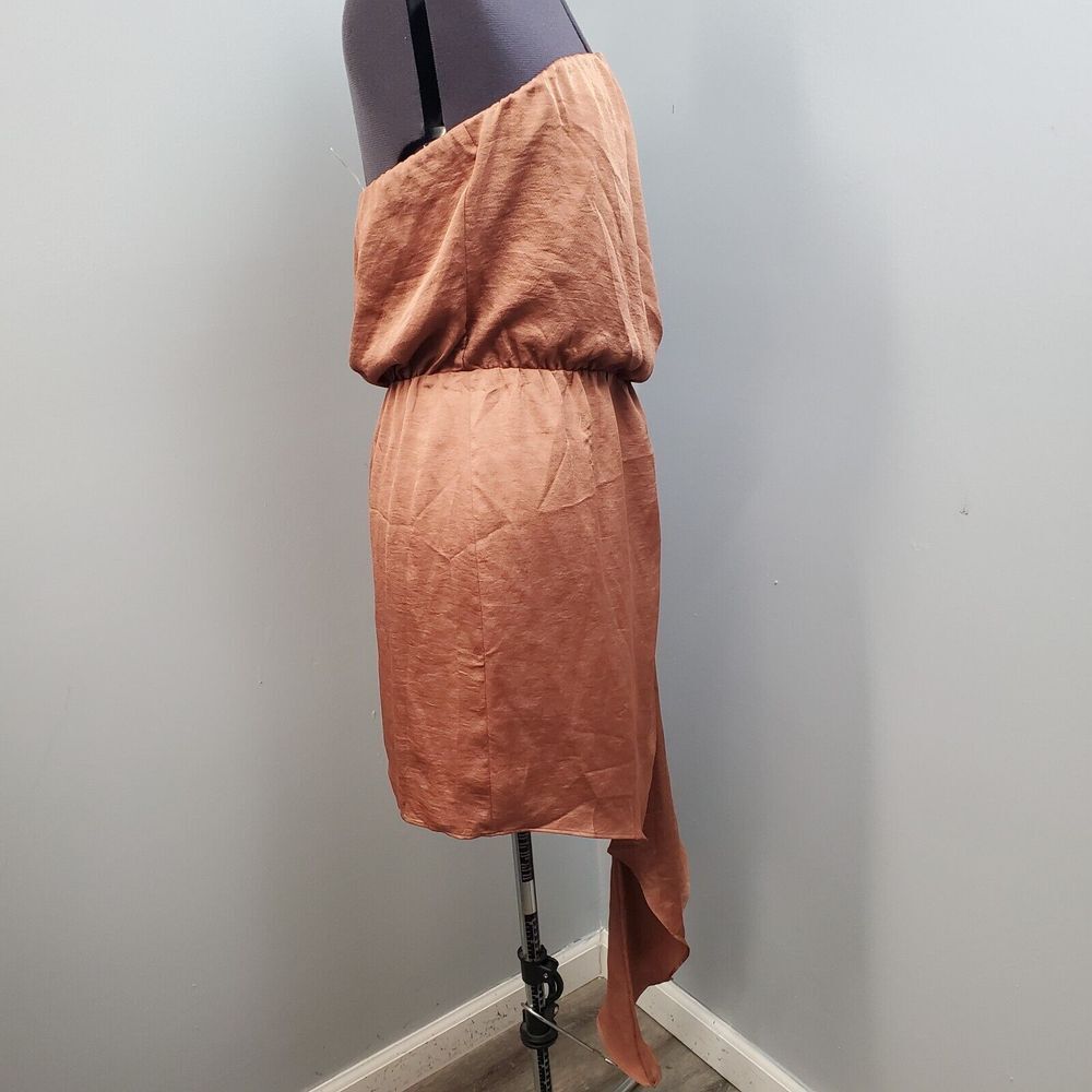 Express Rust Strapless Mini Dress - Picture 9 of 15